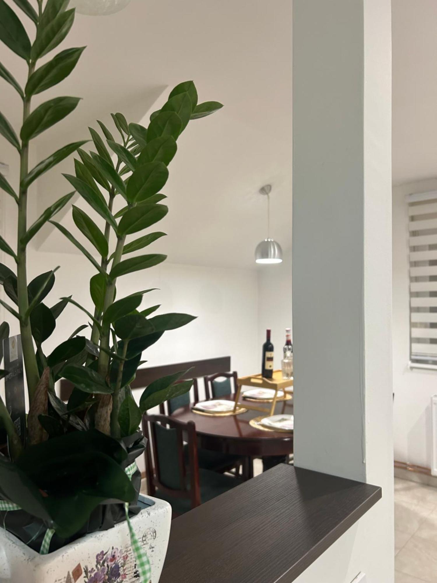 Apartment Diamond Lux *